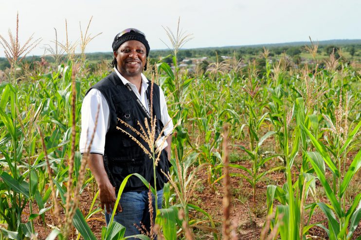 Rice farming project